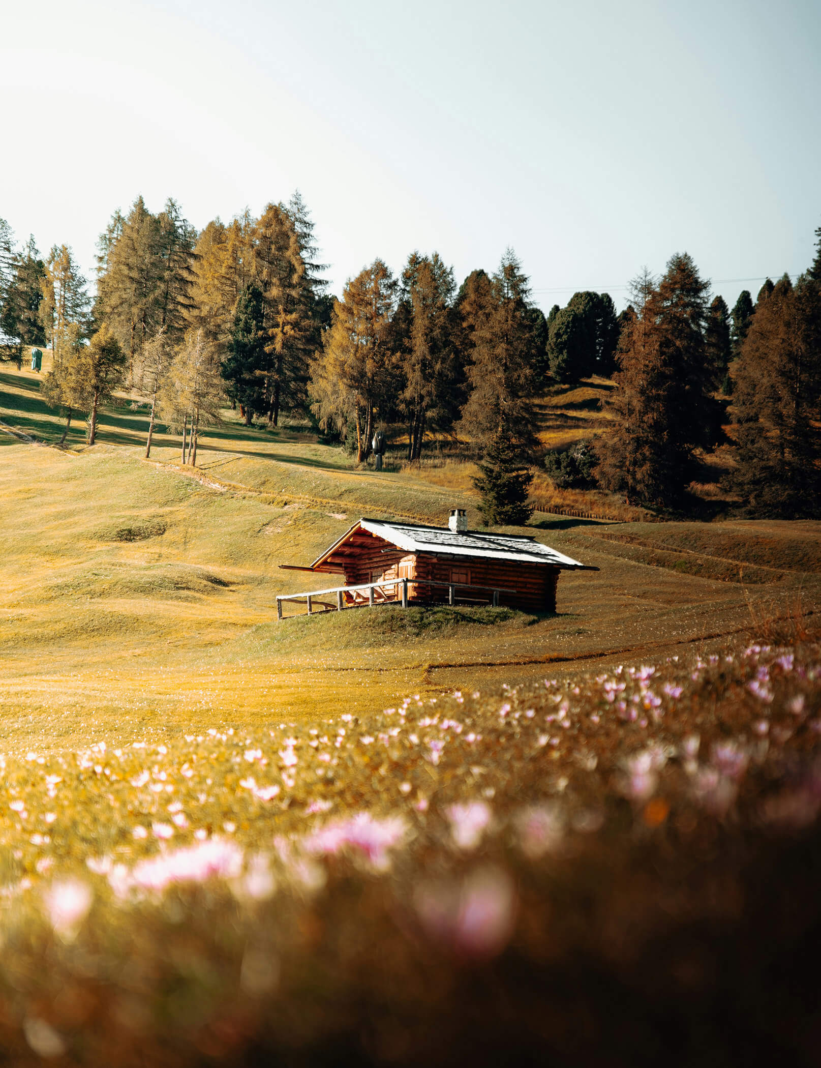 Kleine Hütte inmitten einer Wiese, im Hintergrund grüne Bäume - Hotel Patris