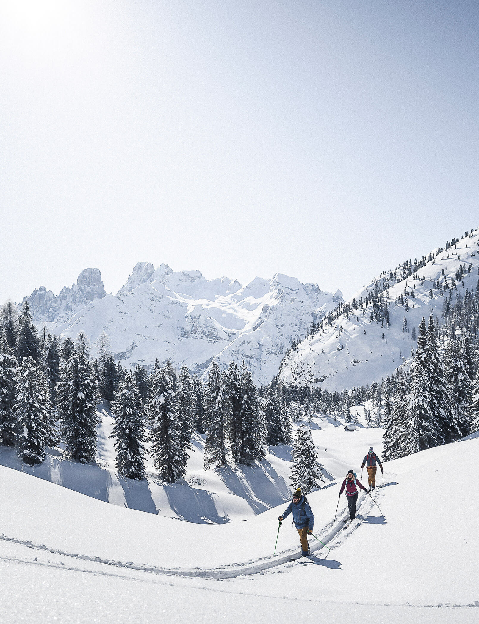 Tre scialpinisti in mezzo al paessaggio innevato, alberi e montagne innevate sullo sfondo - Hotel Patris