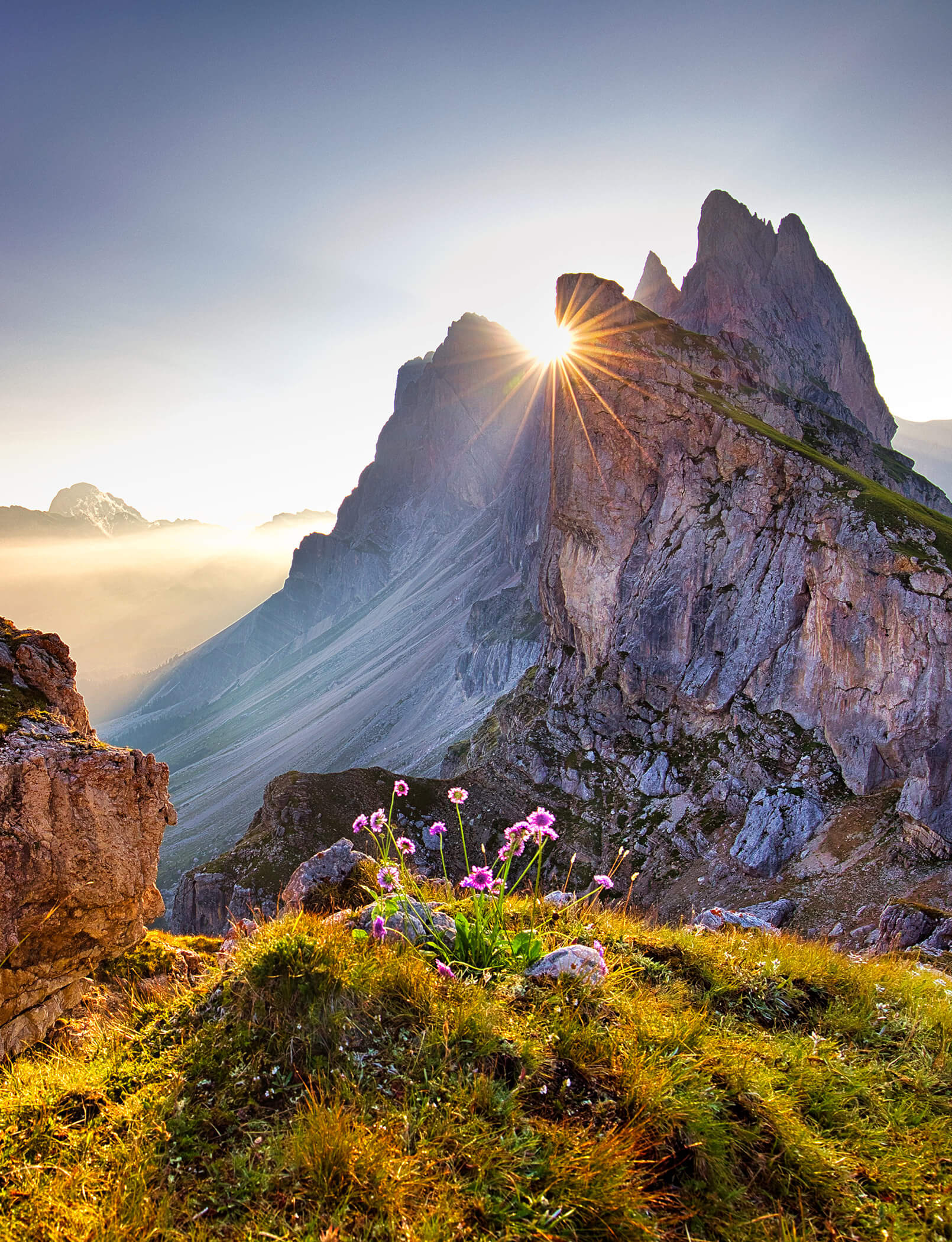 Sole tra due cime, un fiore in primo piano - Hotel Patris
